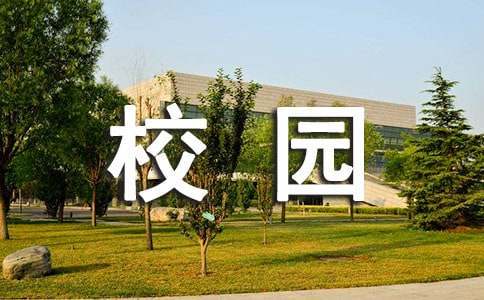 制定篮球交流计划以促进个人技能发展的方法_1